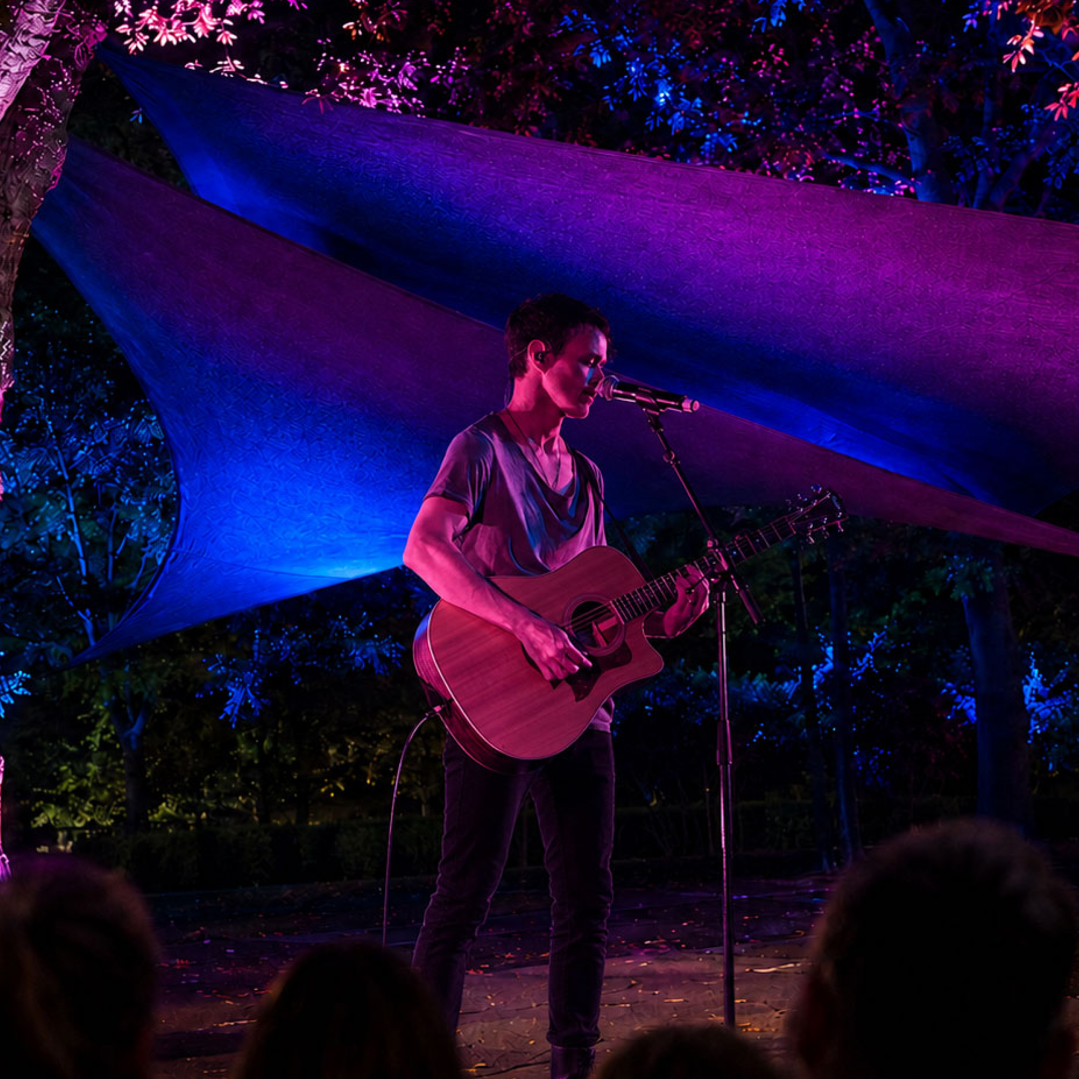 Nathan King performing at DLight at the TreeChurch & Gardens Ohaupo DLIGHT logo